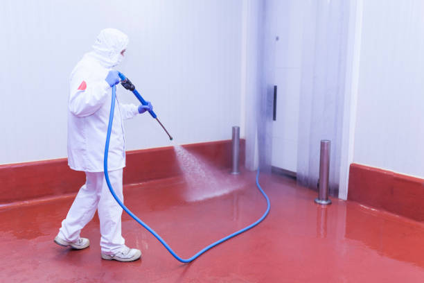 Trusted South Weber, UT Pressure Washing Services Experts